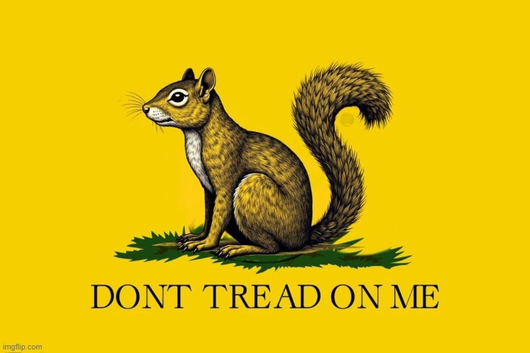 New Flag Suggestion | image tagged in peanut,2024 | made w/ Imgflip meme maker