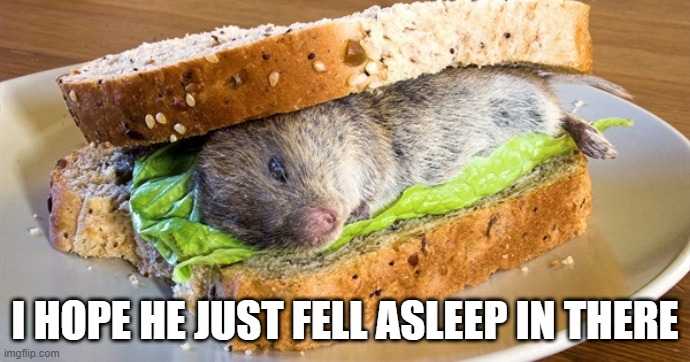 Sammich | I HOPE HE JUST FELL ASLEEP IN THERE | image tagged in food,sus | made w/ Imgflip meme maker