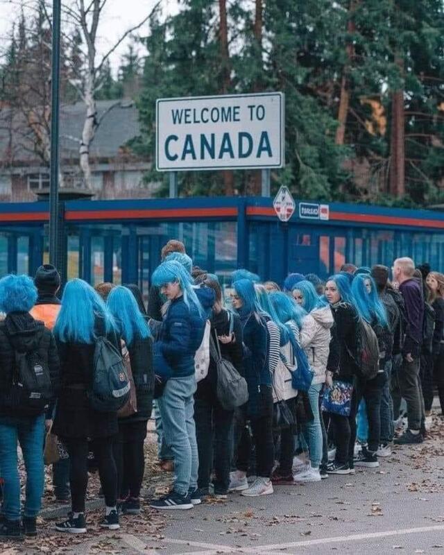 Canadian Border millennials Blank Meme Template