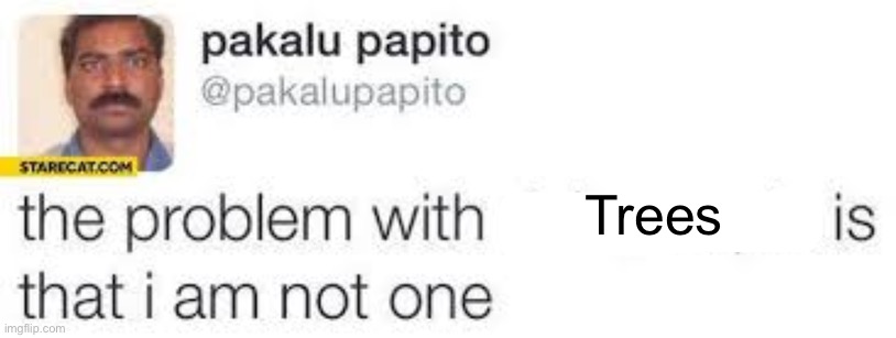 the problem with X is that I am not one | Trees | image tagged in the problem with x is that i am not one | made w/ Imgflip meme maker