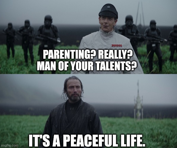 a man of your talent | PARENTING? REALLY? MAN OF YOUR TALENTS? IT'S A PEACEFUL LIFE. | image tagged in a man of your talent | made w/ Imgflip meme maker