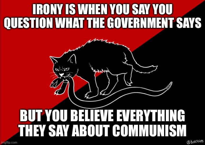 Irony indeed | IRONY IS WHEN YOU SAY YOU QUESTION WHAT THE GOVERNMENT SAYS; BUT YOU BELIEVE EVERYTHING THEY SAY ABOUT COMMUNISM | image tagged in sabo cat with snake,government,communism | made w/ Imgflip meme maker