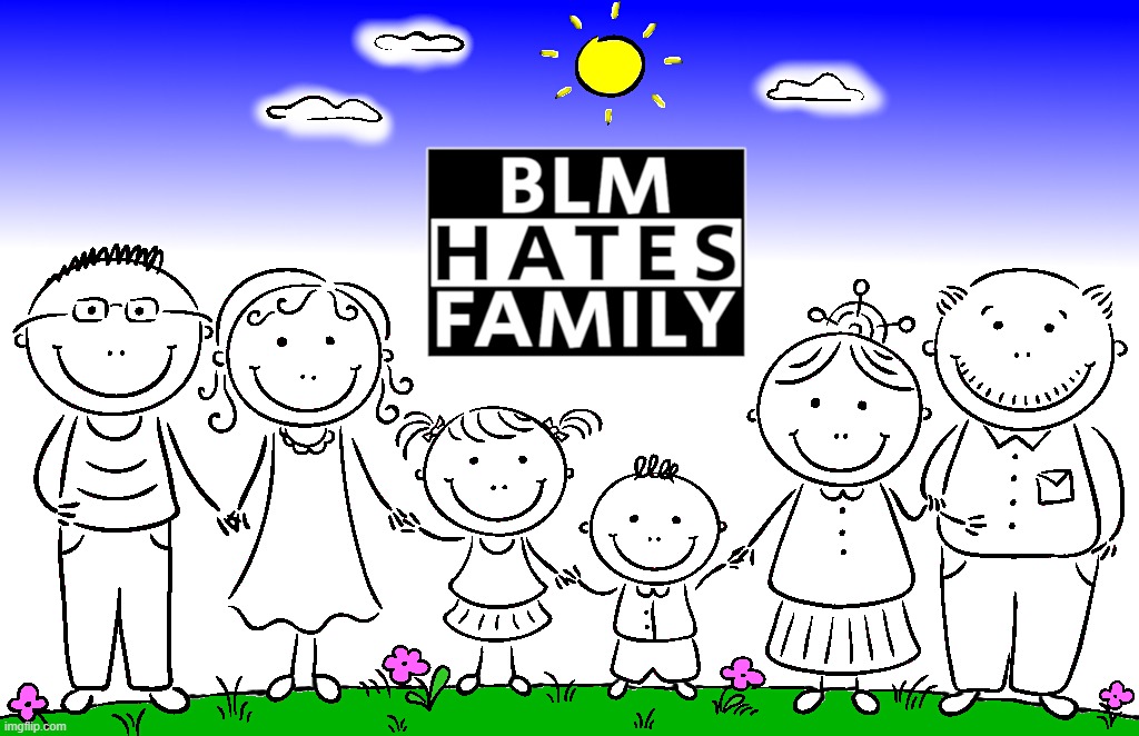 BLM HATES YOUR FAMILY ! | BLM BLACK LIVES MATTER; HATES YOUR FAMILY | image tagged in blm,black lives matter,hate,family,marxism,corrupt | made w/ Imgflip meme maker