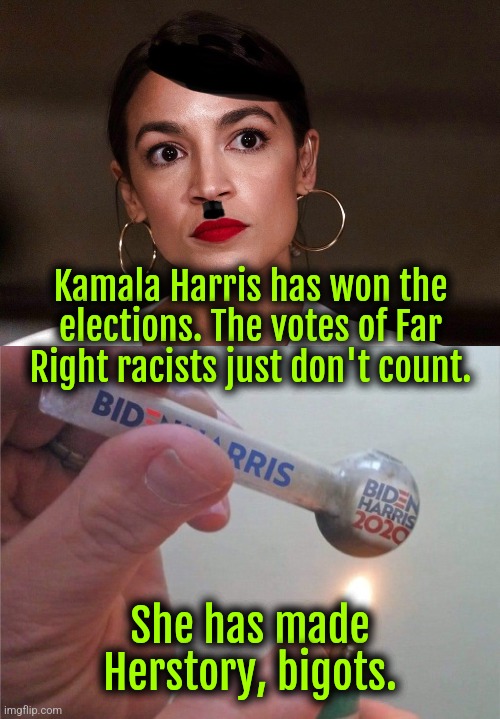 Results are racist. The constitution is patriarchal. | Kamala Harris has won the elections. The votes of Far Right racists just don't count. She has made Herstory, bigots. | image tagged in dictator dem,kamala harris,democrats,liberals,liberal logic,satire | made w/ Imgflip meme maker