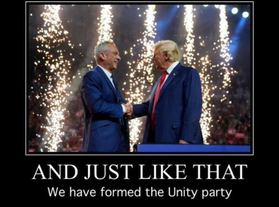 Unity Party Blank Meme Template