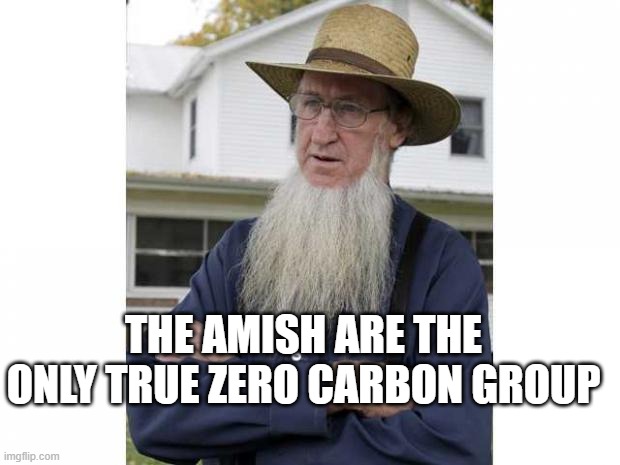 Amish Style | THE AMISH ARE THE ONLY TRUE ZERO CARBON GROUP | image tagged in amish style | made w/ Imgflip meme maker