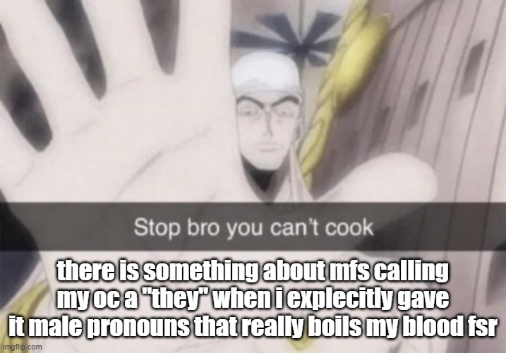 Stop bro you can't cook | there is something about mfs calling my oc a "they" when i explecitly gave it male pronouns that really boils my blood fsr | image tagged in stop bro you can't cook | made w/ Imgflip meme maker