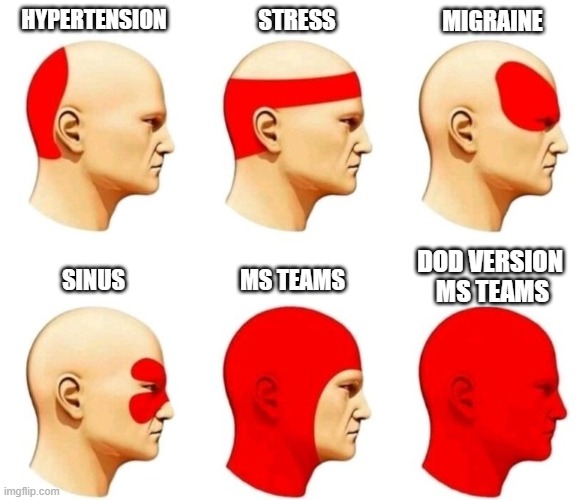 Teams | HYPERTENSION; STRESS; MIGRAINE; DOD VERSION 
MS TEAMS; SINUS; MS TEAMS | image tagged in headache types,teams | made w/ Imgflip meme maker