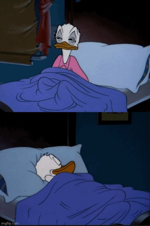 Donald Duck | image tagged in donald duck | made w/ Imgflip meme maker