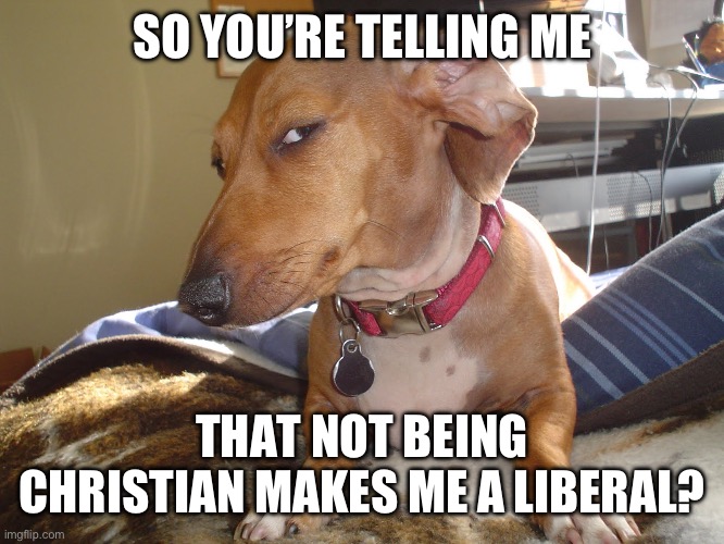 i am NOT a liberal | SO YOU’RE TELLING ME; THAT NOT BEING CHRISTIAN MAKES ME A LIBERAL? | image tagged in suspicious dog | made w/ Imgflip meme maker