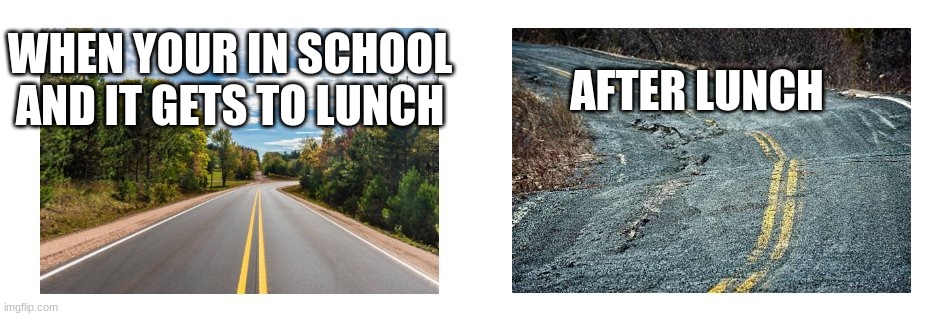 school | WHEN YOUR IN SCHOOL AND IT GETS TO LUNCH; AFTER LUNCH | image tagged in rocky vs smooth | made w/ Imgflip meme maker