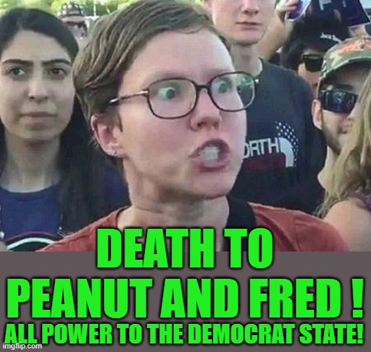 yep | DEATH TO PEANUT AND FRED ! ALL POWER TO THE DEMOCRAT STATE! | image tagged in triggered liberal | made w/ Imgflip meme maker