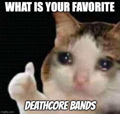 sad thumbs up cat | WHAT IS YOUR FAVORITE; DEATHCORE BANDS | image tagged in sad thumbs up cat | made w/ Imgflip meme maker