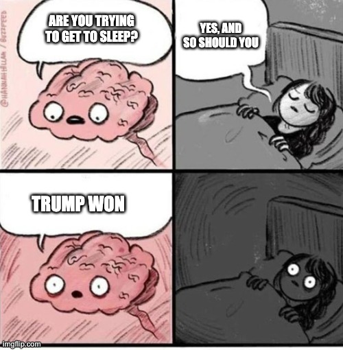 Libberville USA November 6, 2024.2 a.m. Eastern Standard Time | ARE YOU TRYING TO GET TO SLEEP? YES, AND SO SHOULD YOU; TRUMP WON | image tagged in trying to sleep | made w/ Imgflip meme maker