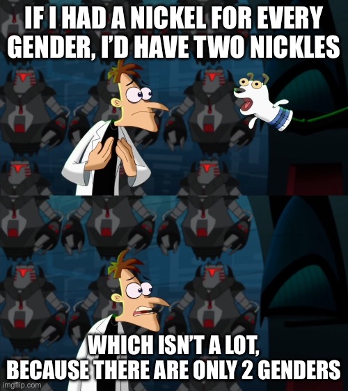 2 nickels | IF I HAD A NICKEL FOR EVERY GENDER, I’D HAVE TWO NICKELS; WHICH ISN’T A LOT, BECAUSE THERE ARE ONLY 2 GENDERS | image tagged in if i had a nickel for everytime | made w/ Imgflip meme maker