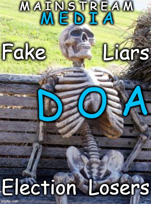 Democrat Agenda Driven--Not a Free Press! | M A I N S T R E A M; M E D I A; Fake; Liars; D O A; Election  Losers | image tagged in waiting skeleton,biased media,media lies,so true memes,liars,mainstream media | made w/ Imgflip meme maker