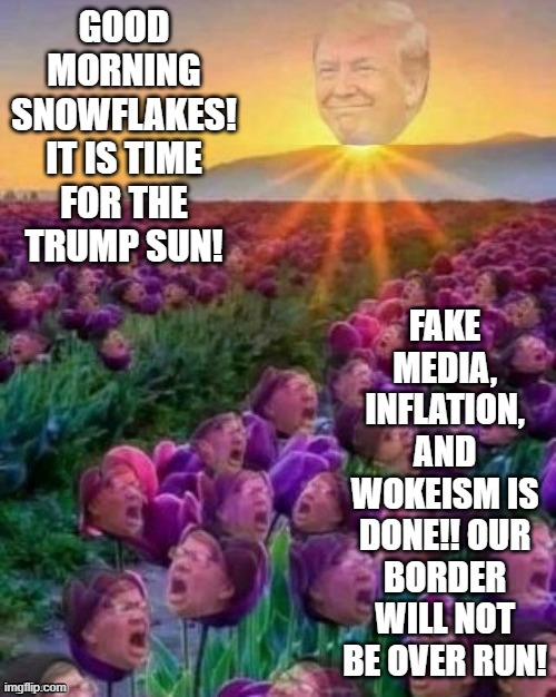 Good morning snowflakes!! | GOOD MORNING SNOWFLAKES! IT IS TIME FOR THE TRUMP SUN! FAKE MEDIA, INFLATION, AND WOKEISM IS DONE!! OUR BORDER WILL NOT BE OVER RUN! | image tagged in snowflakes,donald trump approves | made w/ Imgflip meme maker