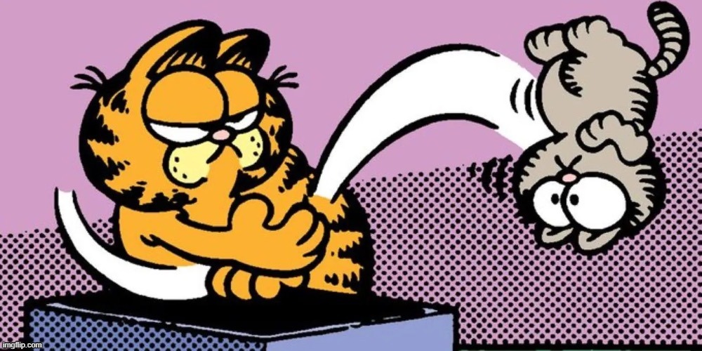 @Nermal.Dunks.On.Garfield | image tagged in garfield throwing nermal | made w/ Imgflip meme maker