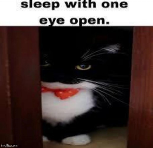 Sleep with one eye open. | image tagged in sleep with one eye open | made w/ Imgflip meme maker