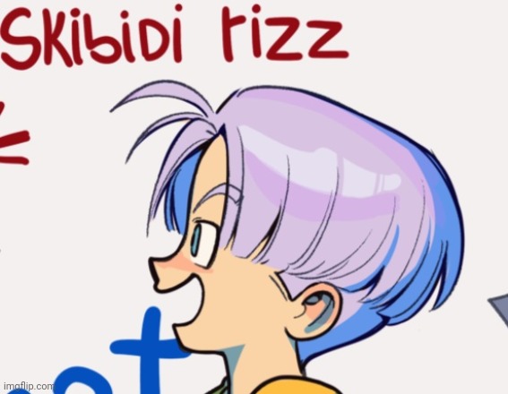 skibidi rizz | made w/ Imgflip meme maker