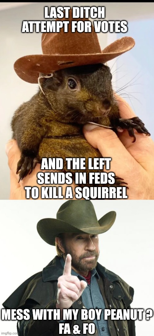 Leftist Lose | LAST DITCH ATTEMPT FOR VOTES; AND THE LEFT SENDS IN FEDS TO KILL A SQUIRREL; MESS WITH MY BOY PEANUT ?
FA & FO | image tagged in peanut squirrel,memes,chuck norris finger,democrats,liberals | made w/ Imgflip meme maker