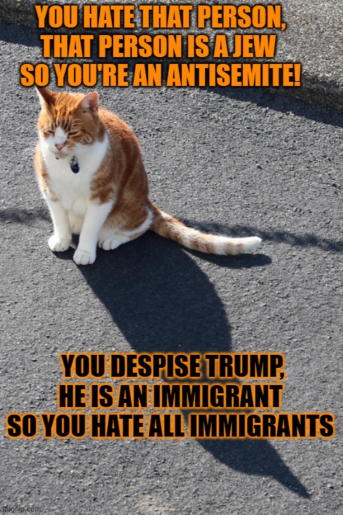 This #lolcat wonders why hoo-mens think you hate a group if you dislike a member of that group | YOU HATE THAT PERSON, THAT PERSON IS A JEW 
SO YOU'RE AN ANTISEMITE! YOU DESPISE TRUMP, HE IS AN IMMIGRANT 
SO YOU HATE ALL IMMIGRANTS | image tagged in lolcat,antisemitism,racism | made w/ Imgflip meme maker