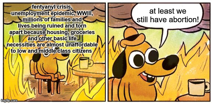 democrat logic | at least we still have abortion! fentyanyl crisis, unemployment epidemic, WWIII, millions of families and lives being ruined and torn apart because housing, groceries and other basic life necessities are almost unaffordable to low and middle class citizens | image tagged in memes,this is fine,trump,kamala,crying democrats,stupid liberals | made w/ Imgflip meme maker