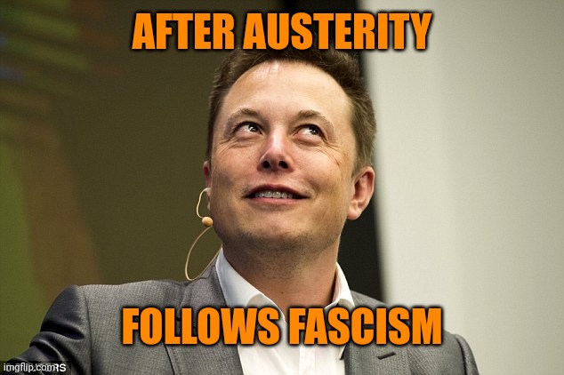 Elon Musk | AFTER AUSTERITY FOLLOWS FASCISM | image tagged in elon musk | made w/ Imgflip meme maker