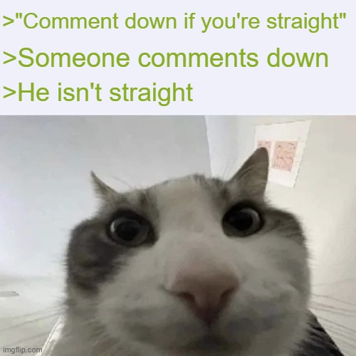 Neko lore | >"Comment down if you're straight"; >Someone comments down; >He isn't straight | image tagged in green text cat | made w/ Imgflip meme maker