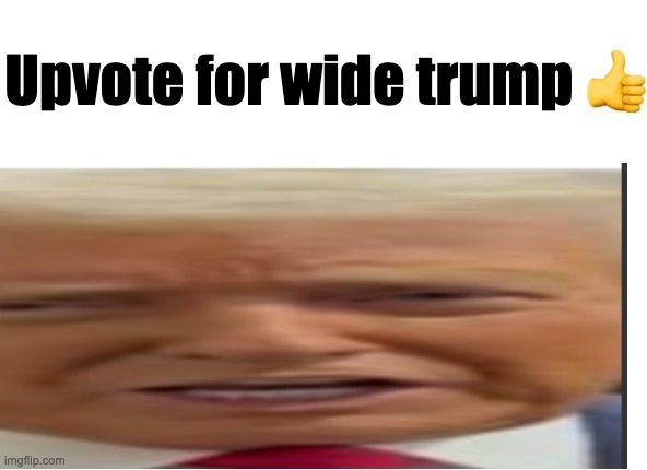 WideTrump | image tagged in widetrump,ragebait | made w/ Imgflip meme maker