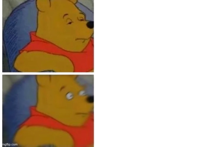 Shocked pooh | image tagged in shocked pooh | made w/ Imgflip meme maker