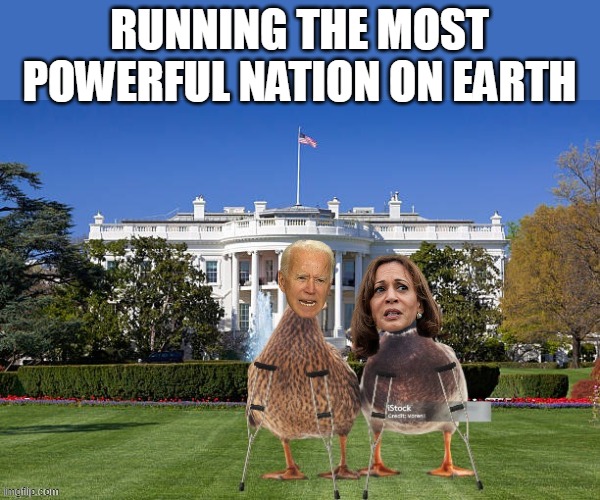 Probably wasn't much better beforehand though | RUNNING THE MOST POWERFUL NATION ON EARTH | image tagged in lame ducks white house meme | made w/ Imgflip meme maker