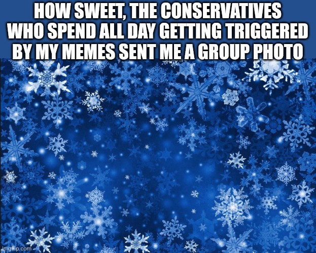 Snowflakes | HOW SWEET, THE CONSERVATIVES WHO SPEND ALL DAY GETTING TRIGGERED BY MY MEMES SENT ME A GROUP PHOTO | image tagged in snowflakes,scumbag republicans,terrorists,trailer trash,conservative hypocrisy,jeffrey epstein | made w/ Imgflip meme maker