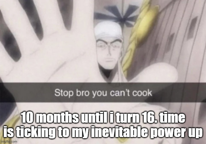 Stop bro you can't cook | 10 months until i turn 16. time is ticking to my inevitable power up | image tagged in stop bro you can't cook | made w/ Imgflip meme maker