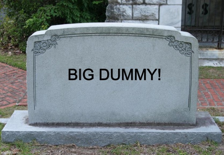 Gravestone | BIG DUMMY! | image tagged in gravestone | made w/ Imgflip meme maker