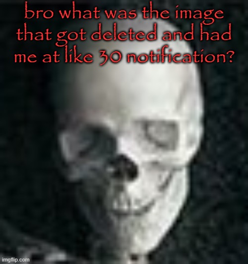 Skull | bro what was the image that got deleted and had me at like 30 notification? | image tagged in skull | made w/ Imgflip meme maker