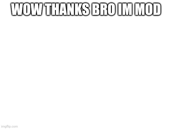 WOW THANKS BRO IM MOD | made w/ Imgflip meme maker