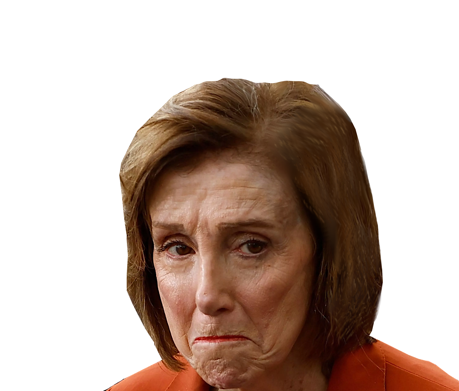 PELOSI PRISON BOUND Blank Meme Template