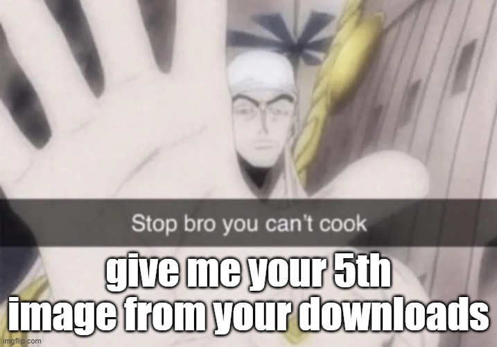 Stop bro you can't cook | give me your 5th image from your downloads | image tagged in stop bro you can't cook | made w/ Imgflip meme maker