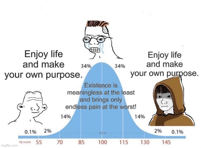 Bell Curve | Enjoy life and make your own purpose. Enjoy life and make your own purpose. Existence is meaningless at the least and brings only endless pain at the worst! | image tagged in bell curve | made w/ Imgflip meme maker