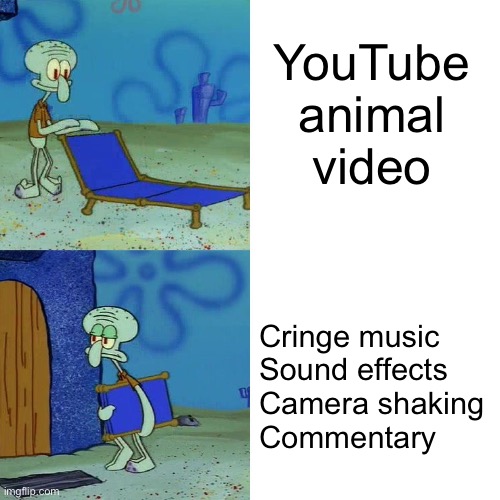 Squidward chair | YouTube animal video; Cringe music
Sound effects
Camera shaking
Commentary | image tagged in squidward chair | made w/ Imgflip meme maker