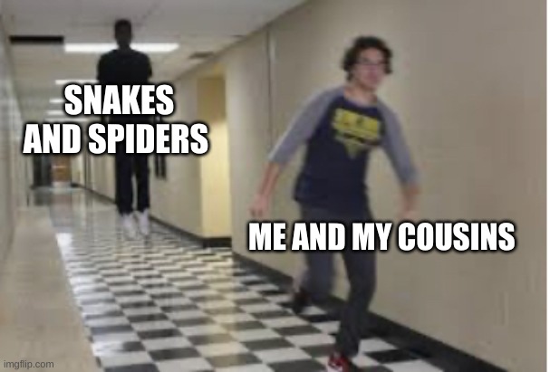 RUNNING FOR MY LIFE | SNAKES AND SPIDERS; ME AND MY COUSINS | image tagged in running down hallway | made w/ Imgflip meme maker