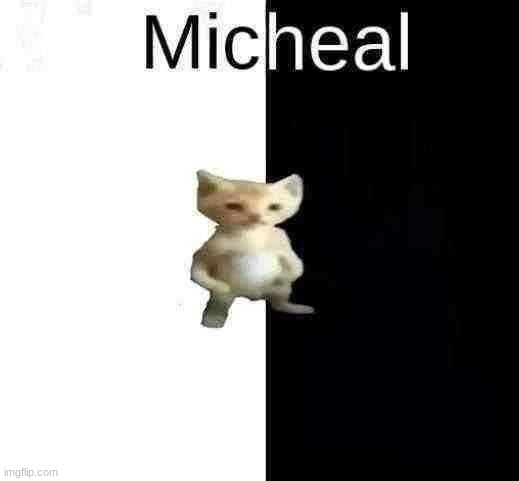 micheal | made w/ Imgflip meme maker