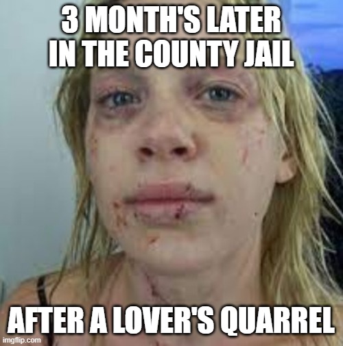 3 MONTH'S LATER IN THE COUNTY JAIL AFTER A LOVER'S QUARREL | made w/ Imgflip meme maker