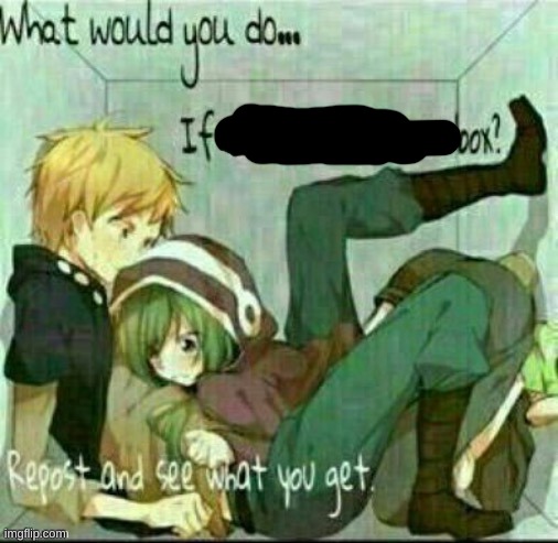 What would you do if we were stuck in a box? | image tagged in what would you do if we were stuck in a box | made w/ Imgflip meme maker