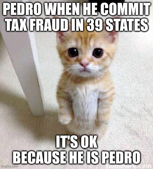 me | PEDRO WHEN HE COMMIT TAX FRAUD IN 39 STATES; IT'S OK BECAUSE HE IS PEDRO | image tagged in memes,cute cat | made w/ Imgflip meme maker