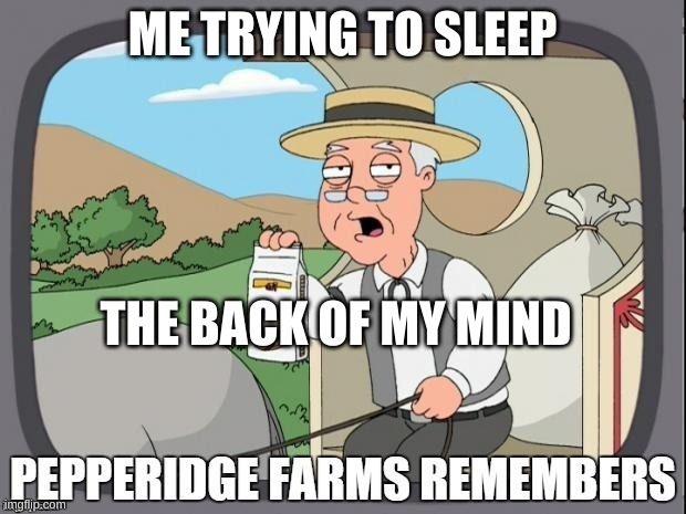 PEPPERIDGE FARMS REMEMBERS | ME TRYING TO SLEEP; THE BACK OF MY MIND | image tagged in pepperidge farms remembers | made w/ Imgflip meme maker