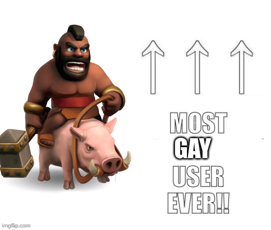 The most user ever | GAY | image tagged in the most user ever | made w/ Imgflip meme maker