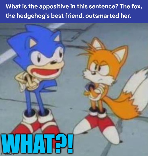 Dude, Tails is not a girl | WHAT?! | image tagged in tails and sonic,coincidence i think not,what,memes | made w/ Imgflip meme maker