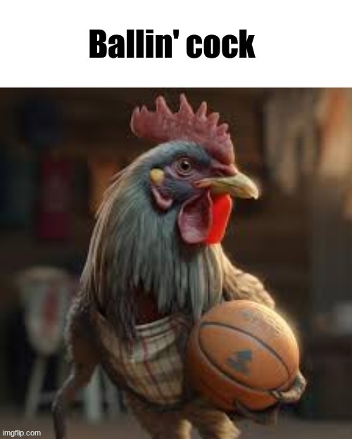 new temp just dropped | image tagged in ballin' cock | made w/ Imgflip meme maker